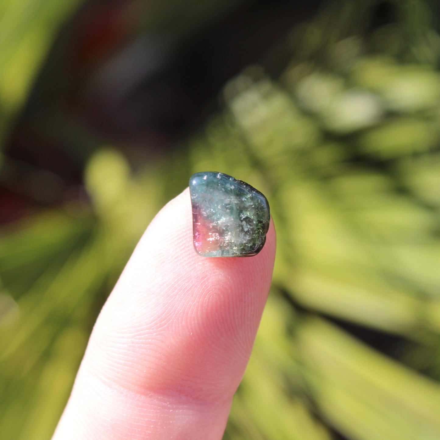 Watermelon Tourmaline Mini Polished Crystal Tumblestone