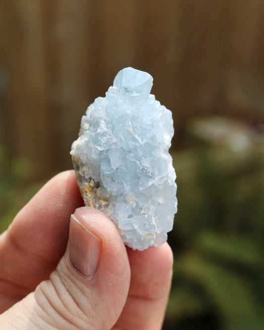 Celestite Natural Small Crystal Cluster