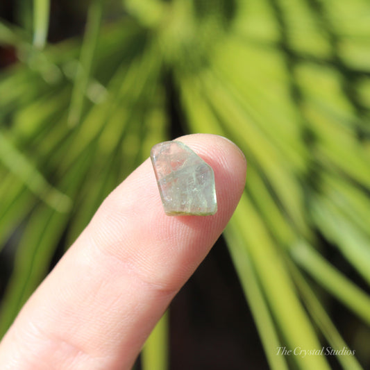 Green Tourmaline Mini Polished Crystal Tumblestone