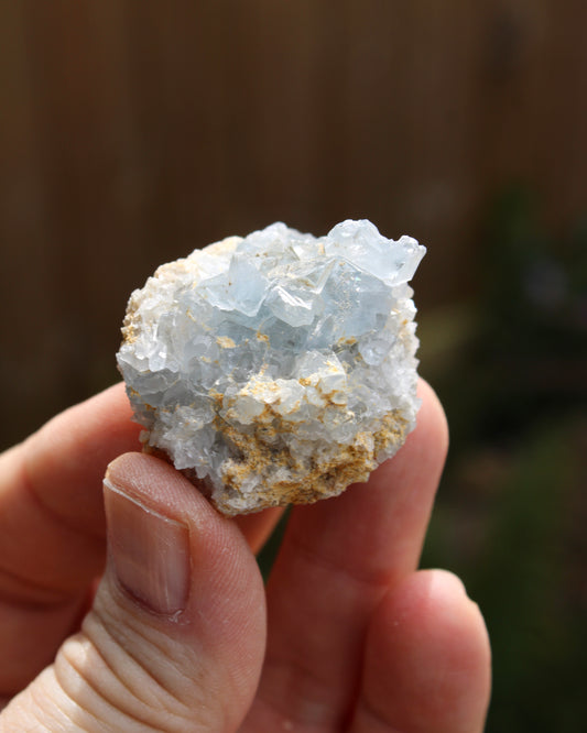 Celestite Natural Small Crystal Cluster