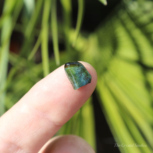 Indicolite (Blue) & Green Tourmaline Mini Polished Crystal Tumblestone