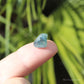 Indicolite (Blue) & Green Tourmaline Mini Polished Crystal Tumblestone