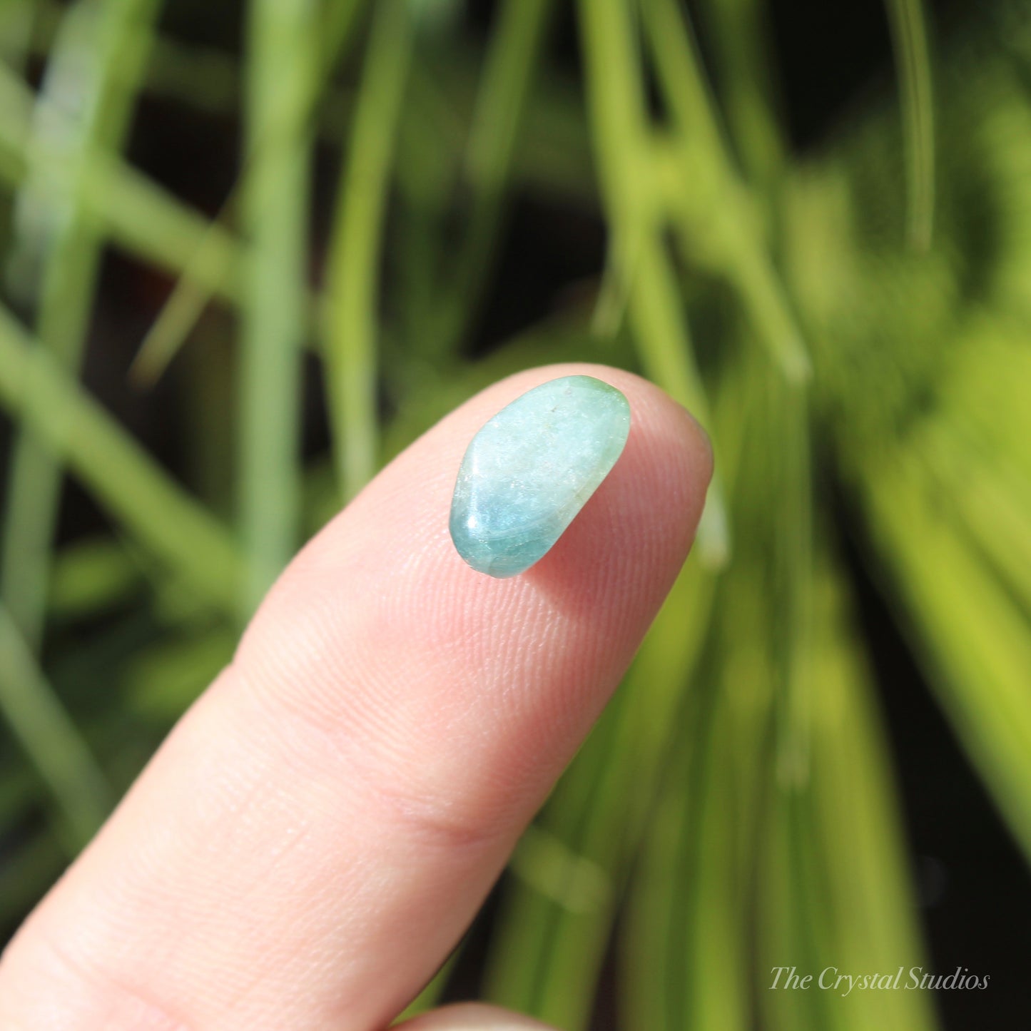 Indicolite (Blue) & Green Tourmaline Mini Polished Crystal Tumblestone