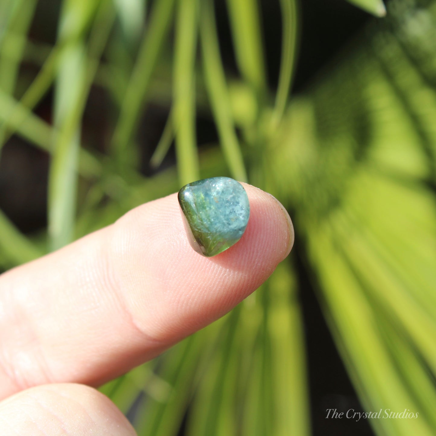 Indicolite (Blue) & Green Tourmaline Mini Polished Crystal Tumblestone