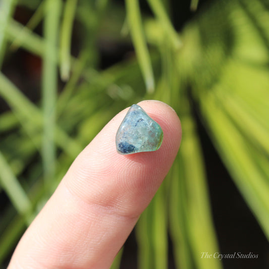 Indicolite (Blue) & Green Tourmaline Mini Polished Crystal Tumblestone