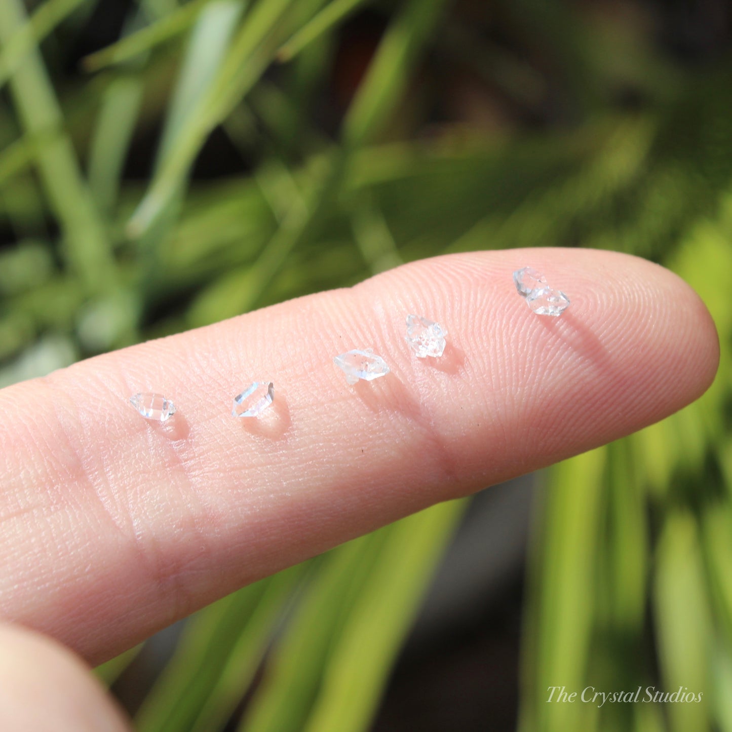 Herkimer Diamond Crystal Set