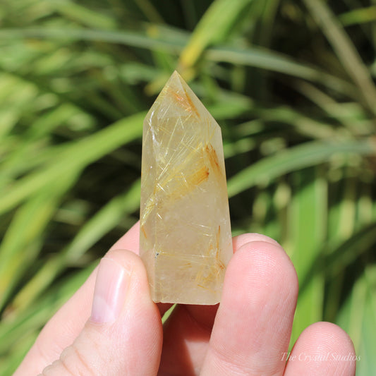 Golden Rutilated Polished Crystal Point