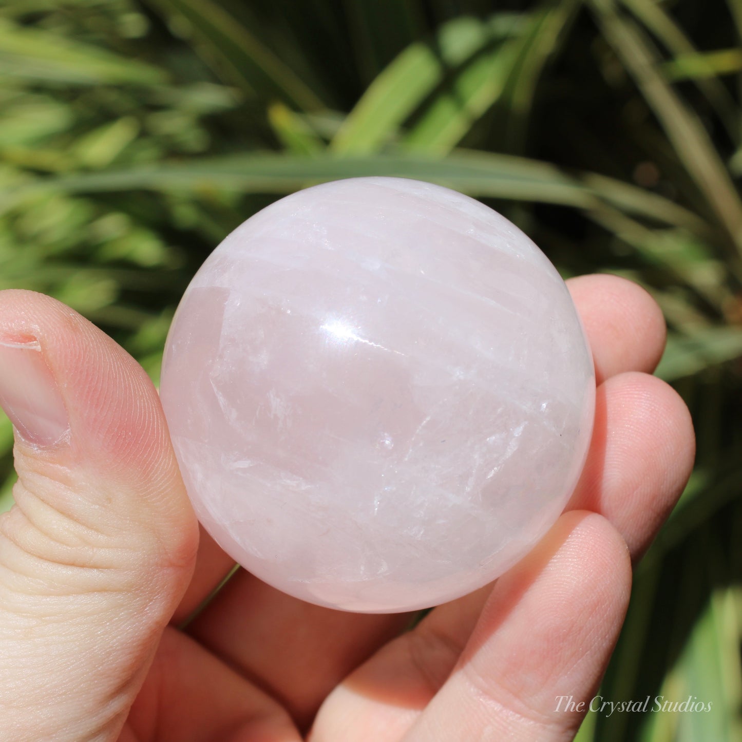 Rose Quartz Medium Polished Crystal Sphere