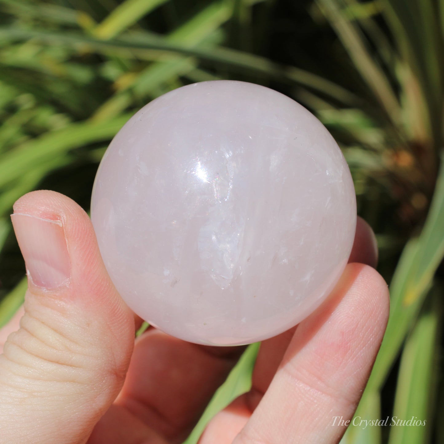 Rose Quartz Medium Polished Crystal Sphere