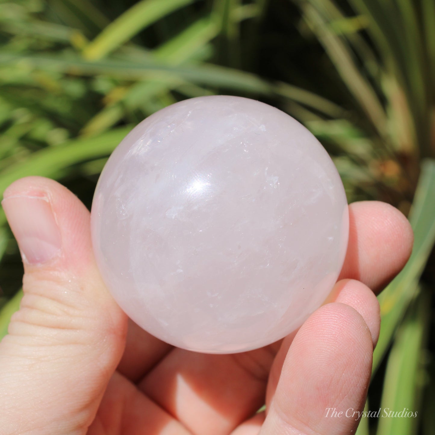 Rose Quartz Medium Polished Crystal Sphere