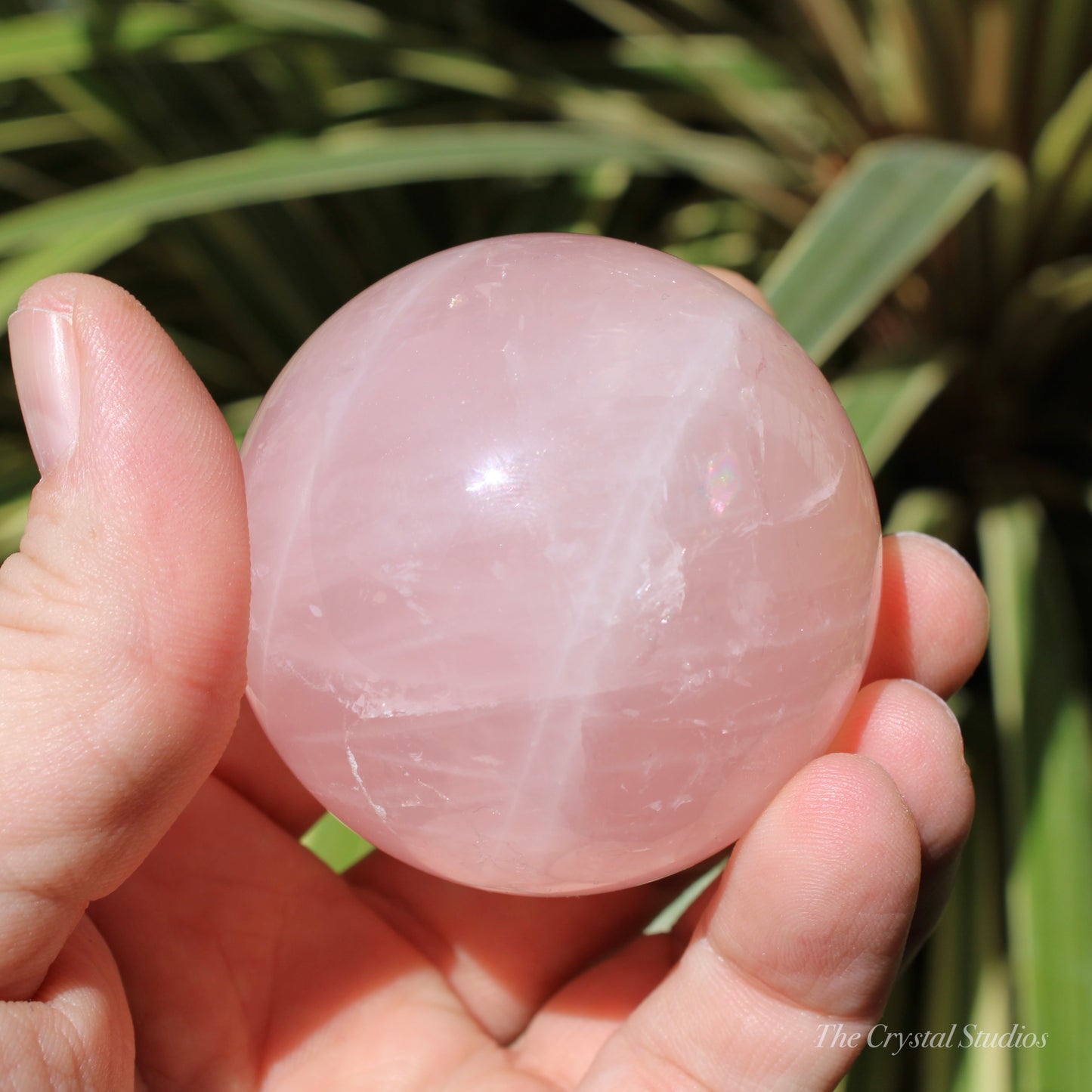 Star Rose Quartz Medium Polished Crystal Sphere