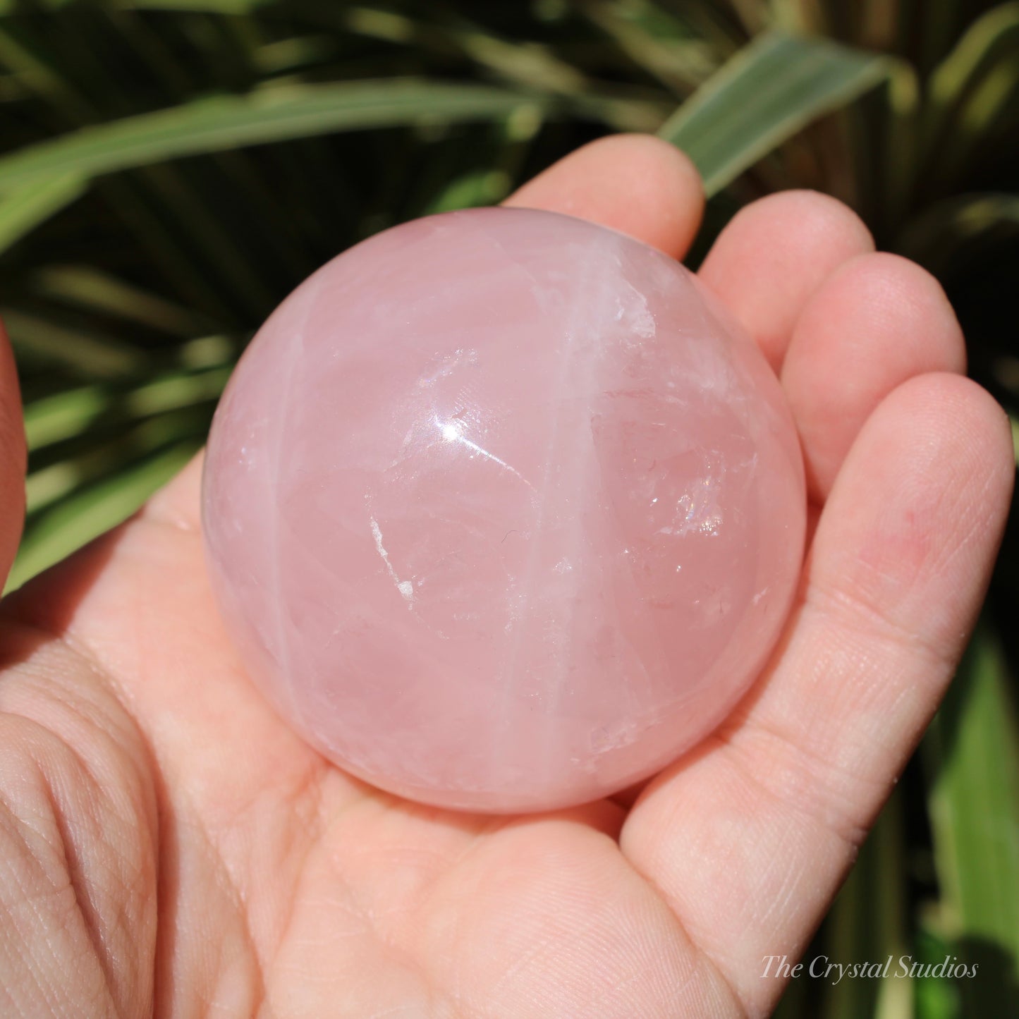 Star Rose Quartz Medium Polished Crystal Sphere