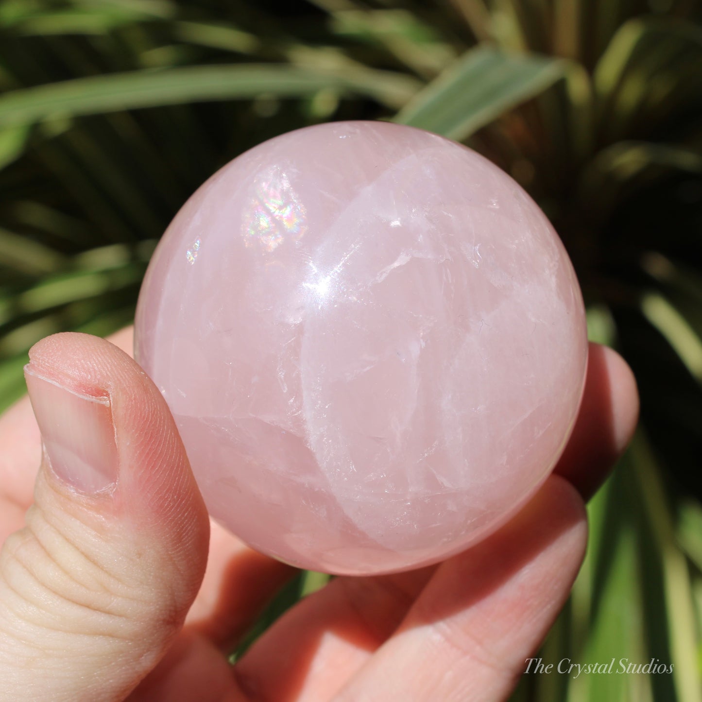 Star Rose Quartz Medium Polished Crystal Sphere