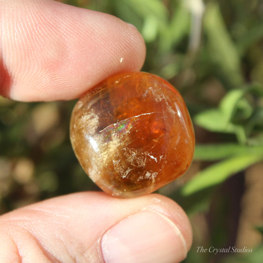 Honey Calcite Polished Crystal Tumblestone