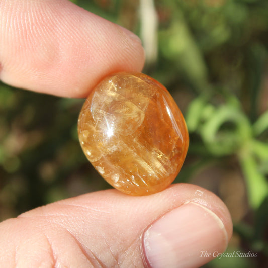 Honey Calcite Polished Crystal Tumblestone