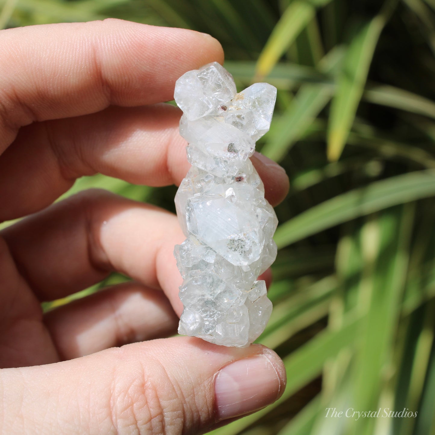 Apophyllite Stalactite on Blue Chalcedony Natural Crystal Cluster