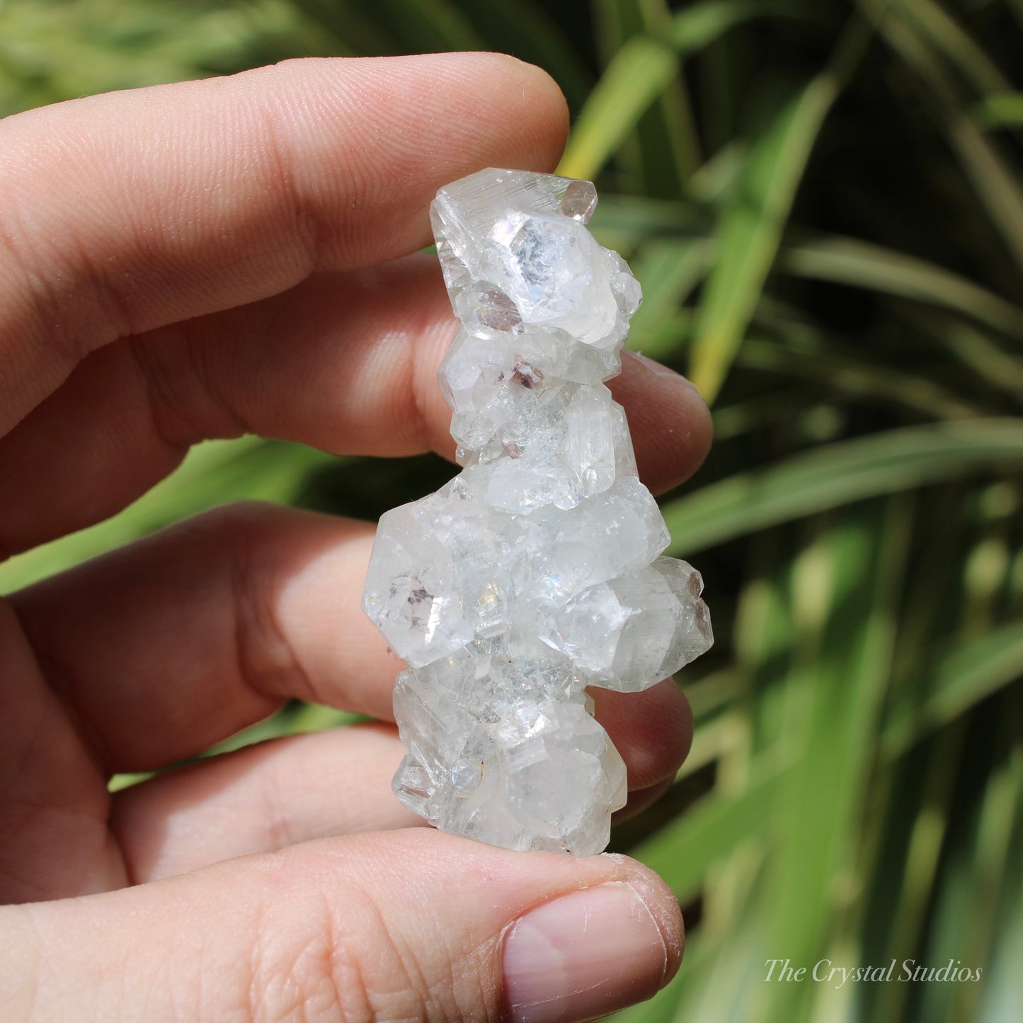 Apophyllite Stalactite on Blue Chalcedony Natural Crystal Cluster