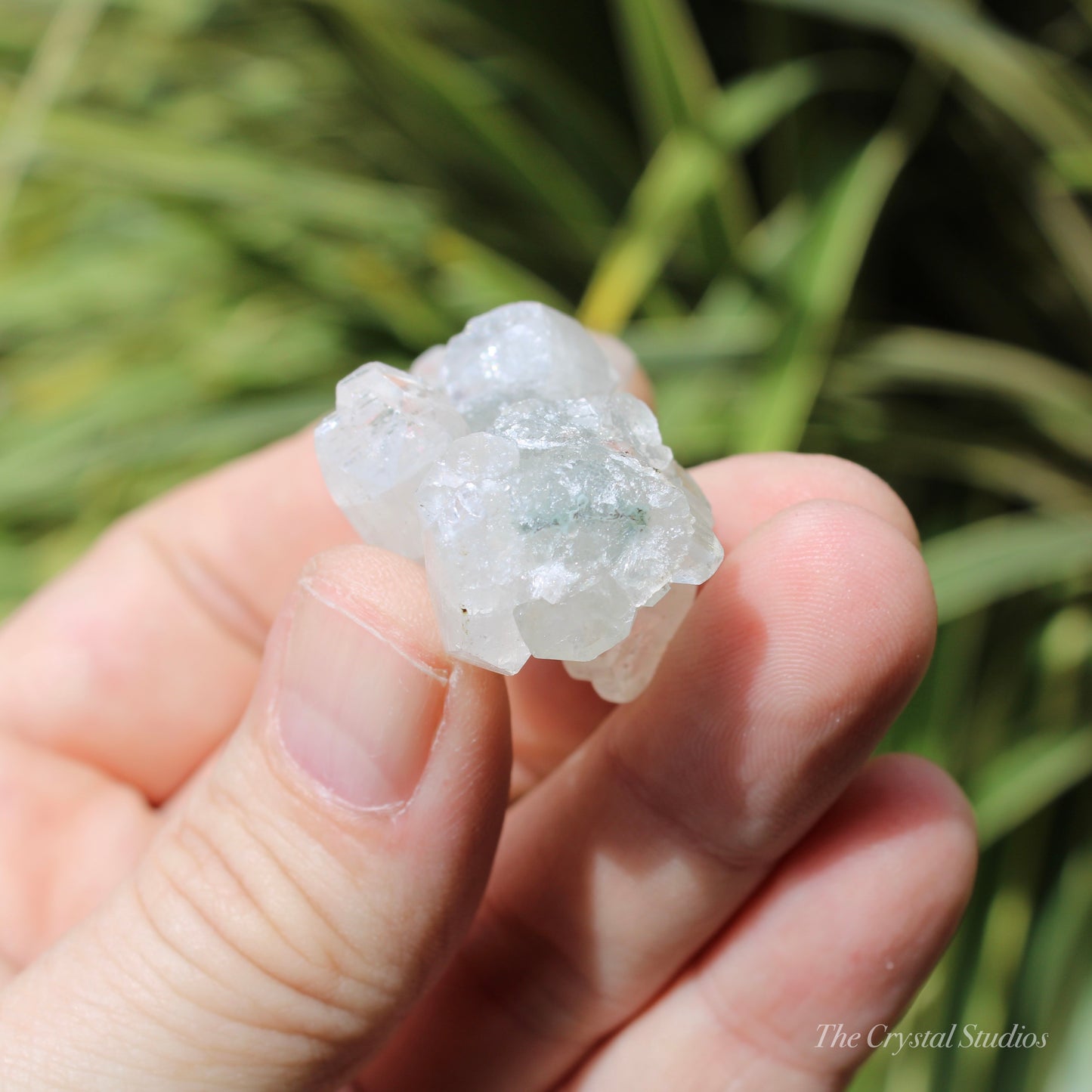 Apophyllite Stalactite on Blue Chalcedony Natural Crystal Cluster