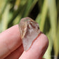 Red Phantom Quartz Small Natural Point