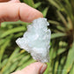 Apophyllite on Blue Chalcedony Natural Crystal Cluster