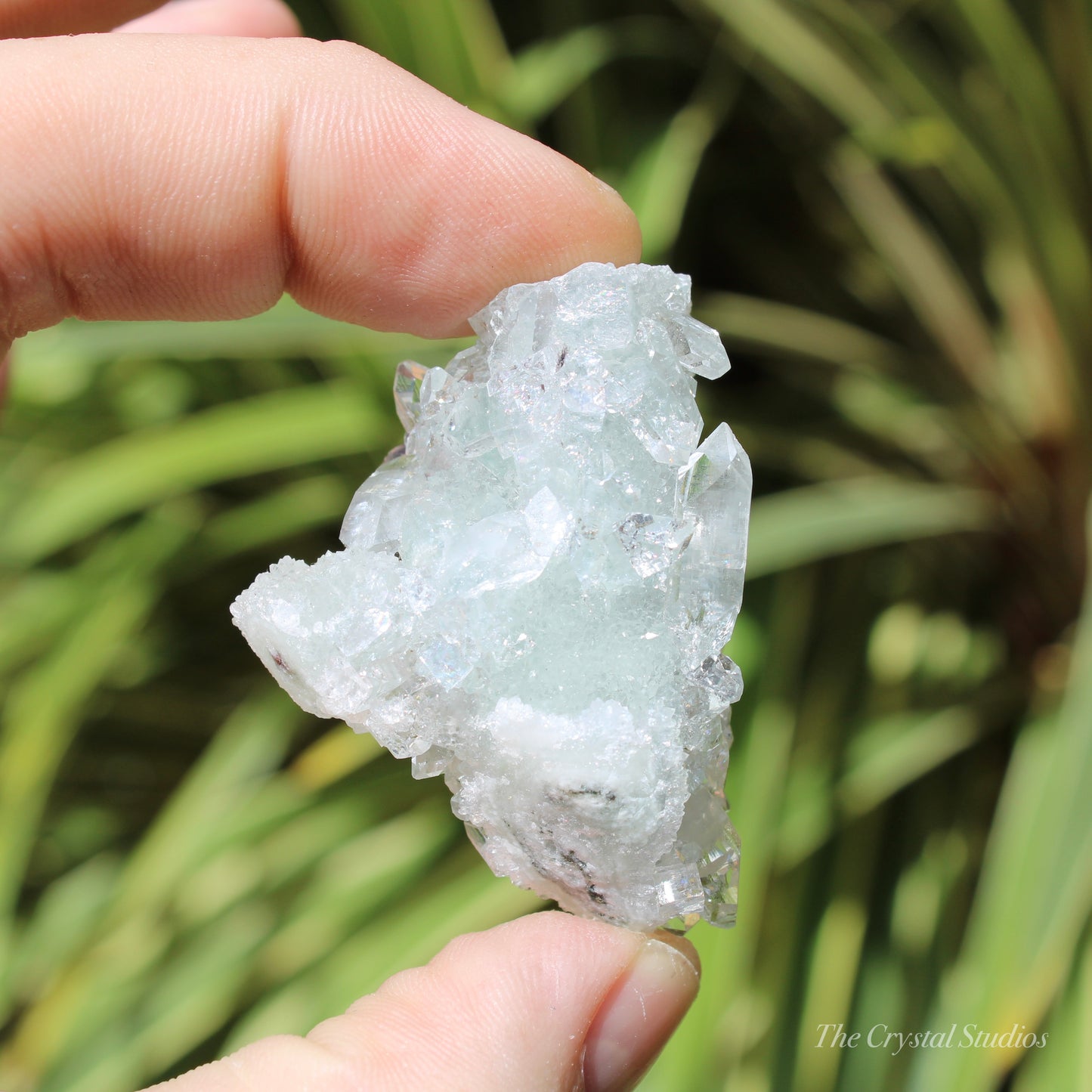 Apophyllite on Blue Chalcedony Natural Crystal Cluster