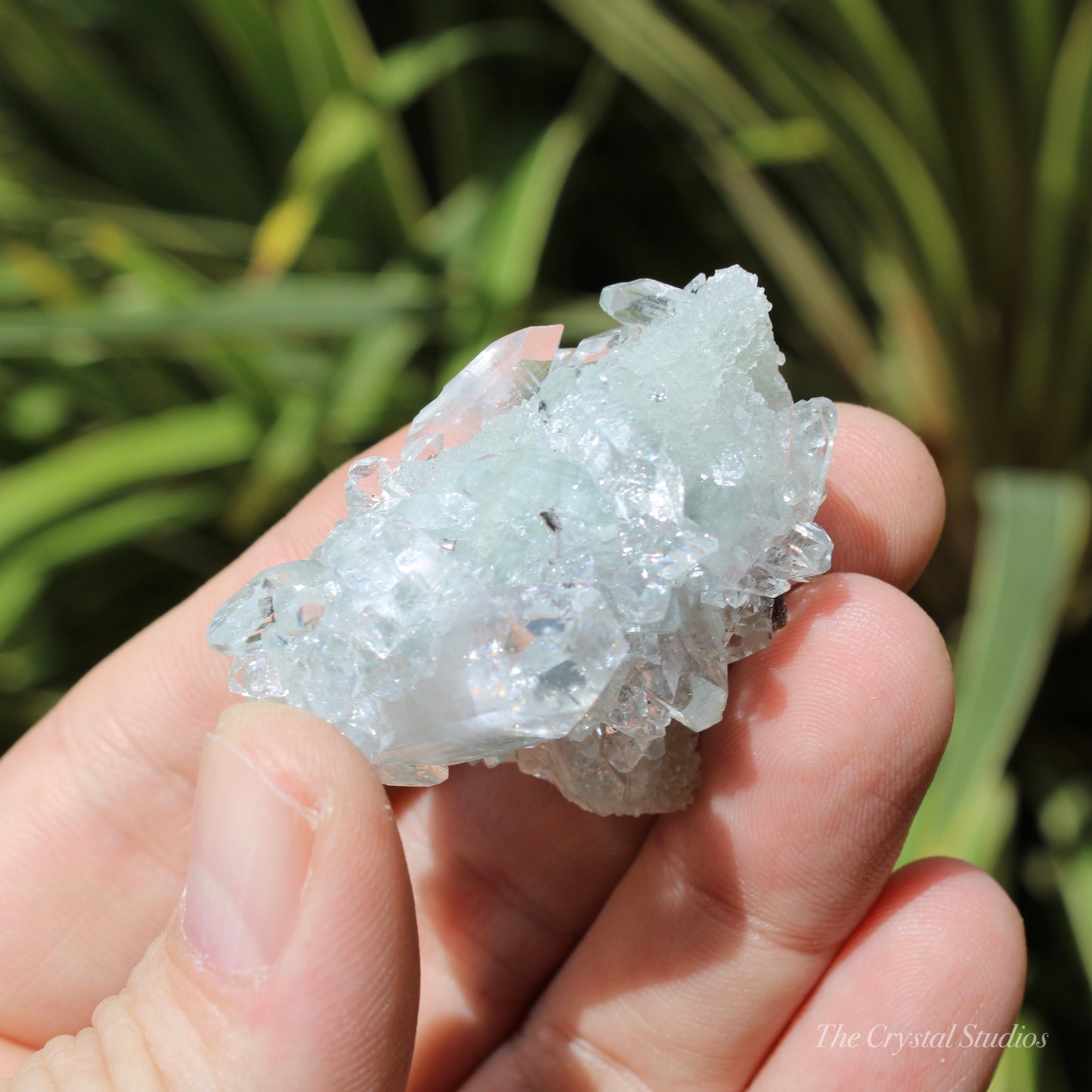 Apophyllite on Blue Chalcedony Natural Crystal Cluster