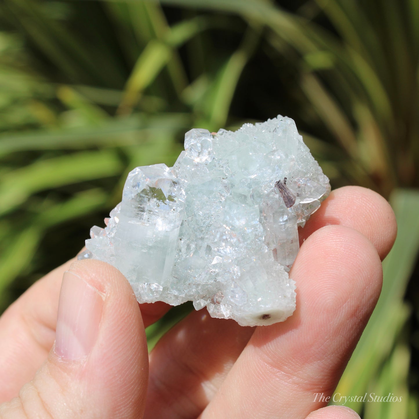 Apophyllite on Blue Chalcedony Natural Crystal Cluster