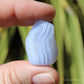 Blue lace Agate Large Polished Crystal Tumblestone