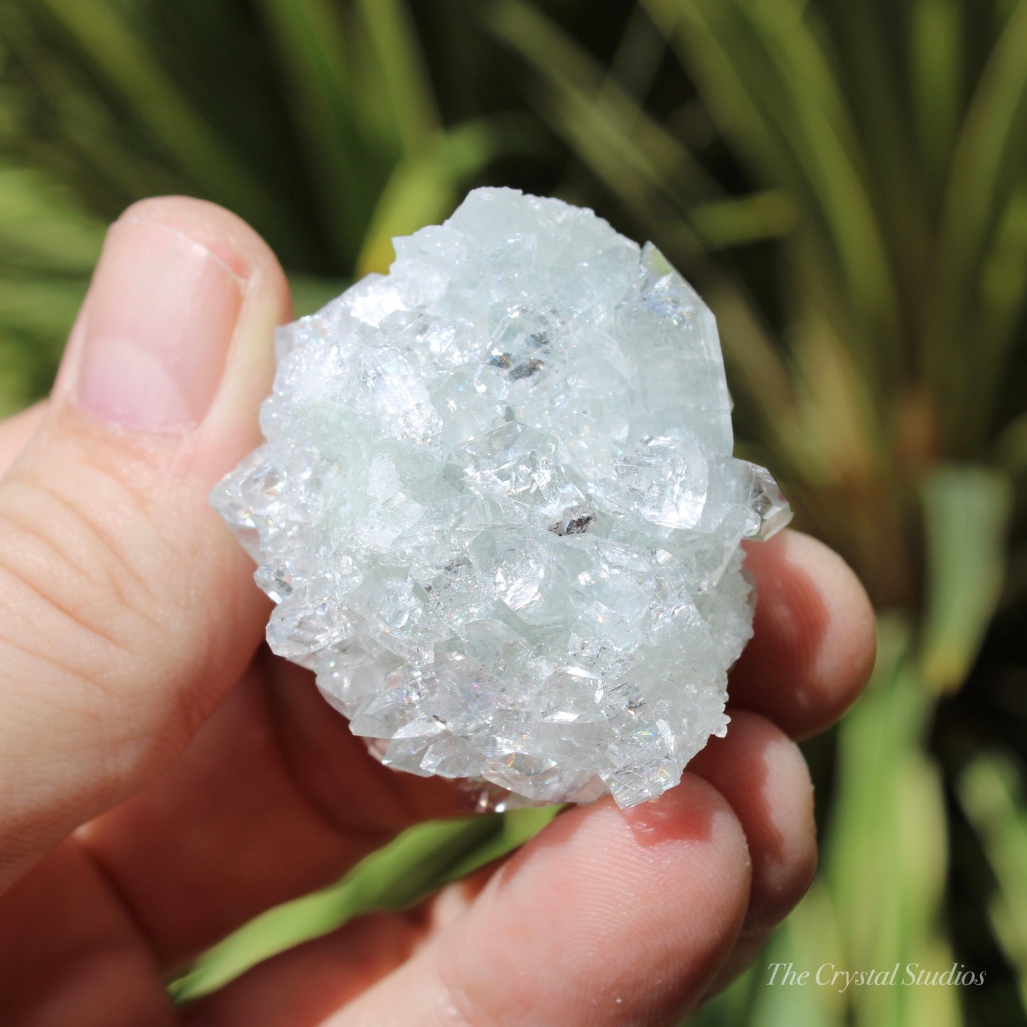 Apophyllite on Blue Chalcedony Natural Crystal Cluster