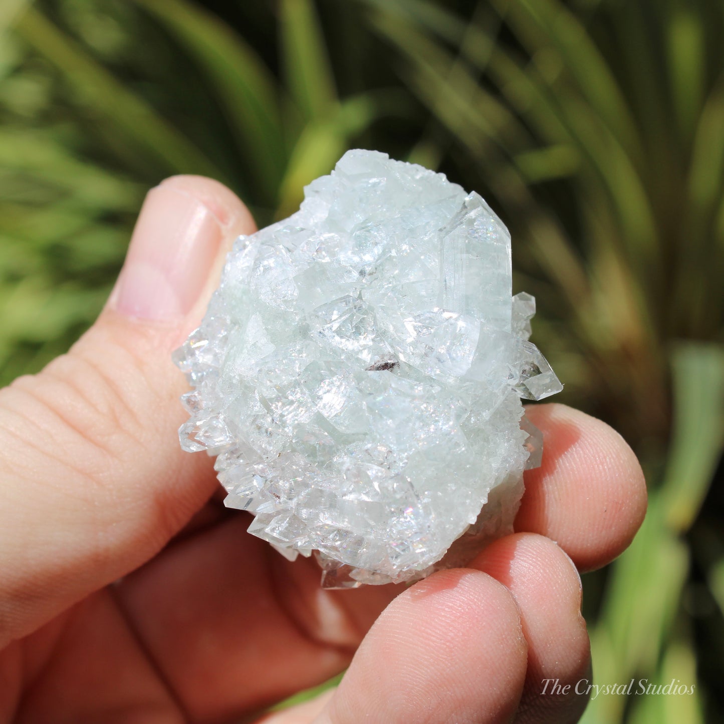 Apophyllite on Blue Chalcedony Natural Crystal Cluster