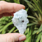 Apophyllite on Blue Chalcedony Natural Crystal Cluster