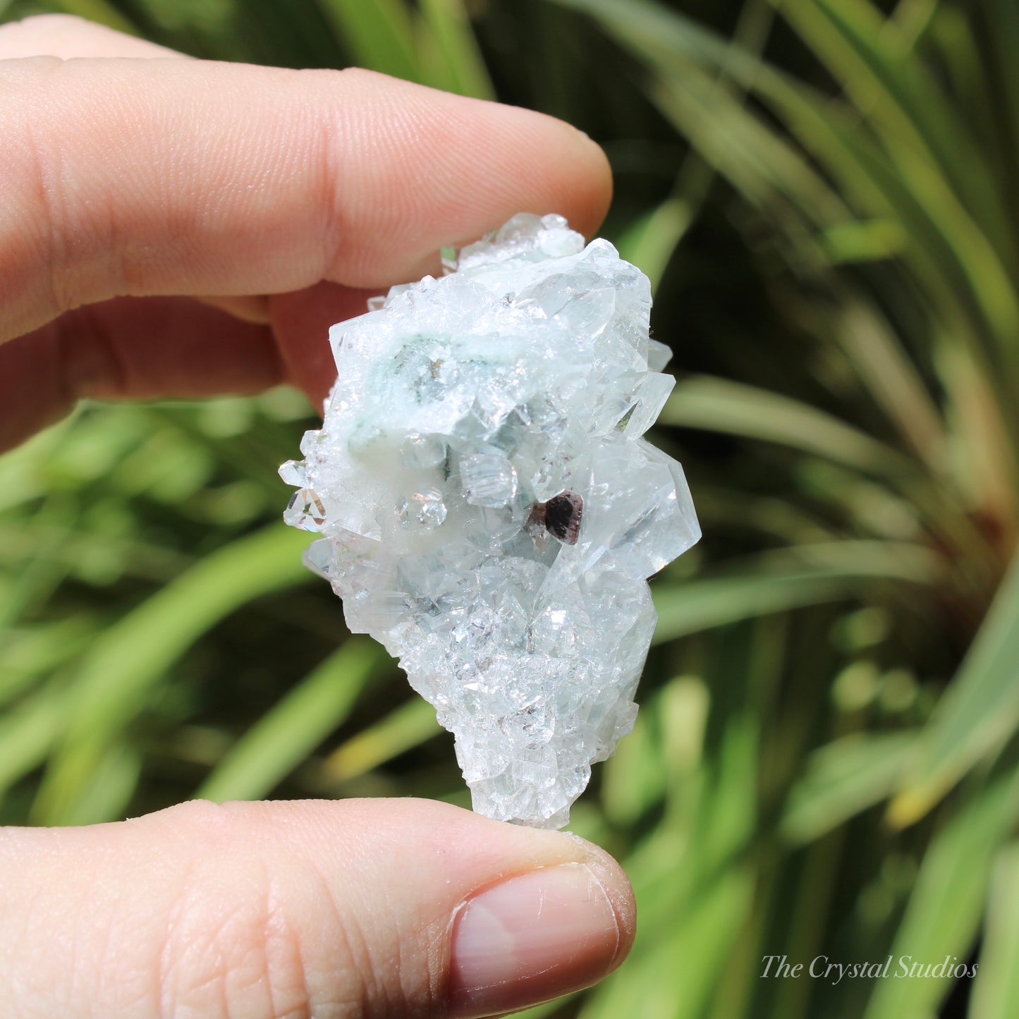 Apophyllite on Blue Chalcedony Natural Crystal Cluster