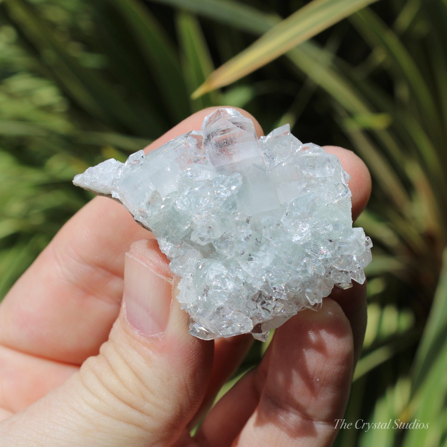 Apophyllite on Blue Chalcedony Natural Crystal Cluster