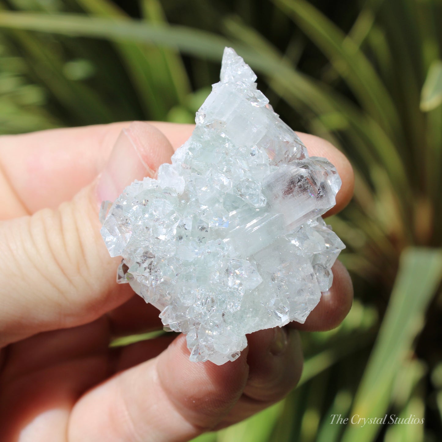 Apophyllite on Blue Chalcedony Natural Crystal Cluster