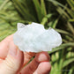 Apophyllite on Blue Chalcedony Natural Crystal Cluster