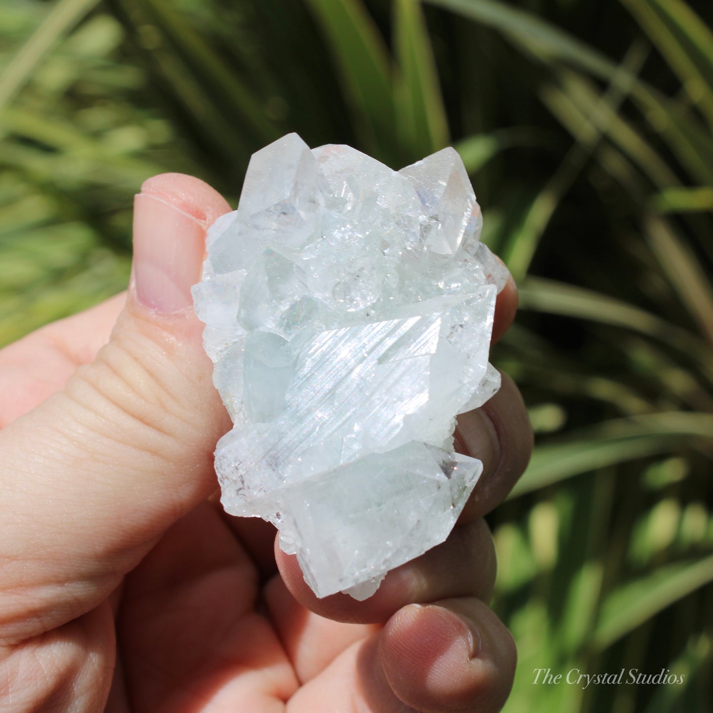 Apophyllite on Blue Chalcedony Natural Crystal Cluster