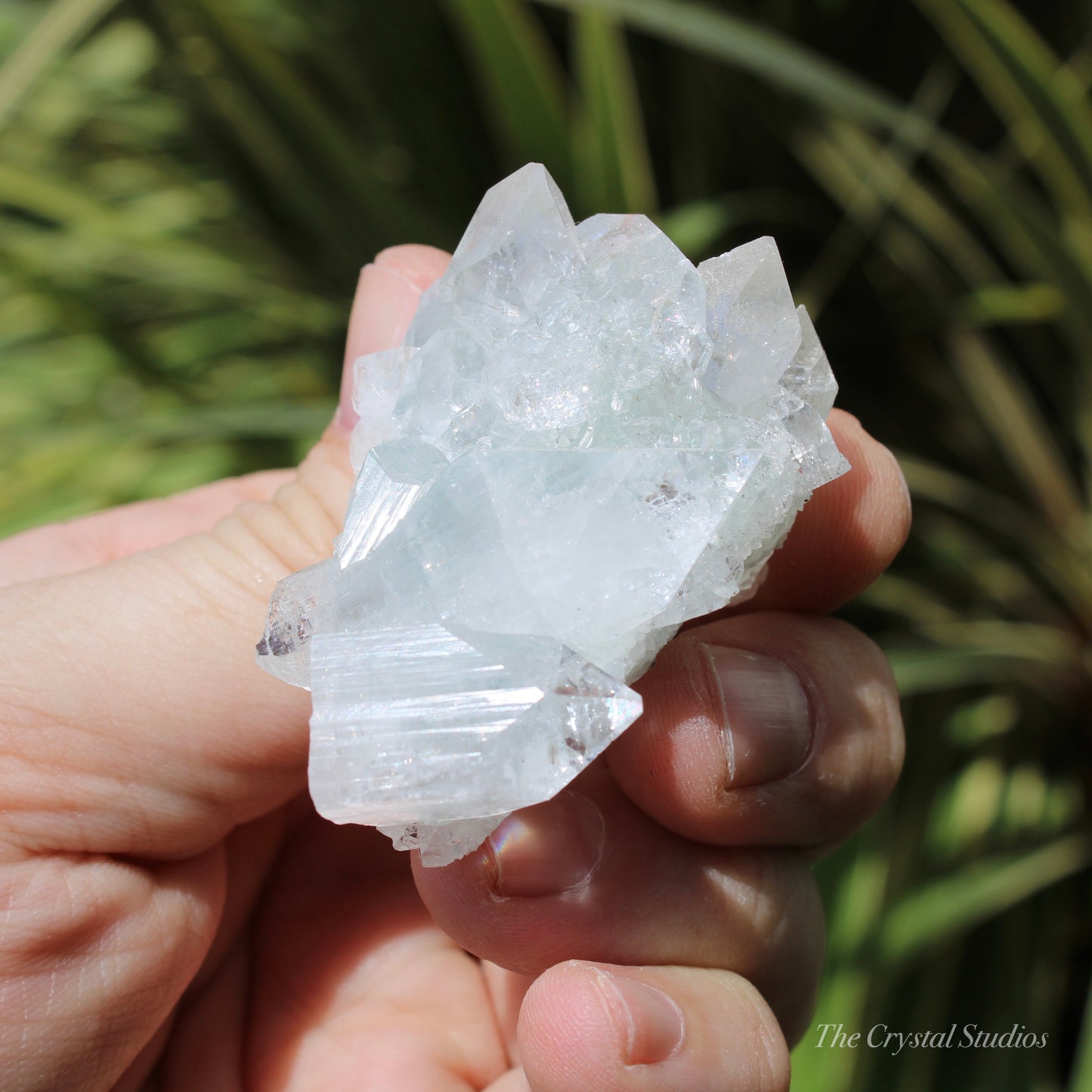 Apophyllite on Blue Chalcedony Natural Crystal Cluster