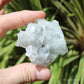 Apophyllite on Blue Chalcedony Natural Crystal Cluster