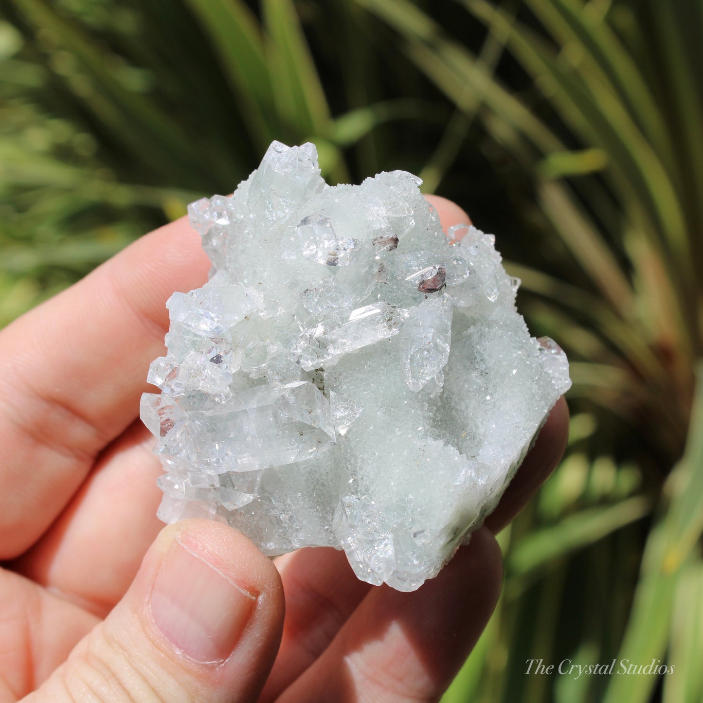 Apophyllite on Blue Chalcedony Natural Crystal Cluster