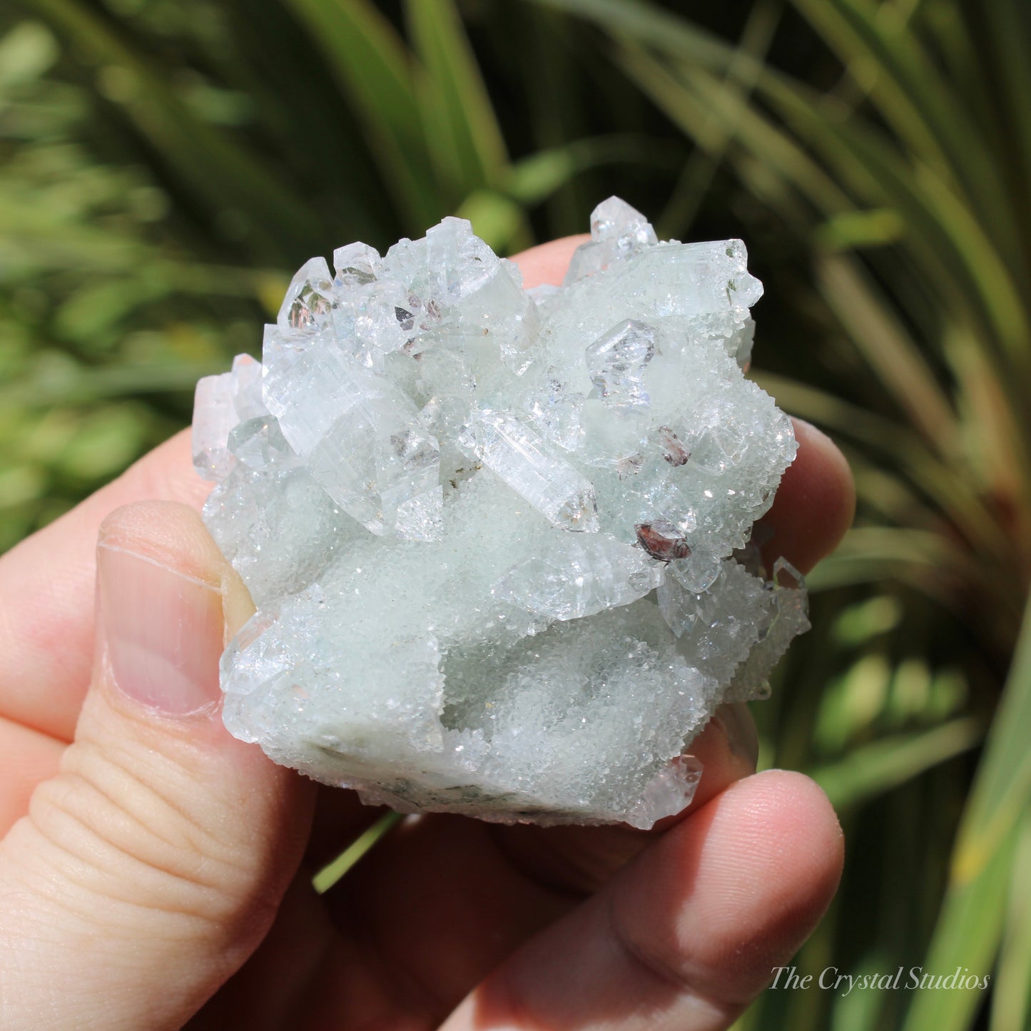 Apophyllite on Blue Chalcedony Natural Crystal Cluster