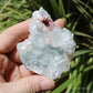 Apophyllite on Blue Chalcedony Natural Crystal Cluster