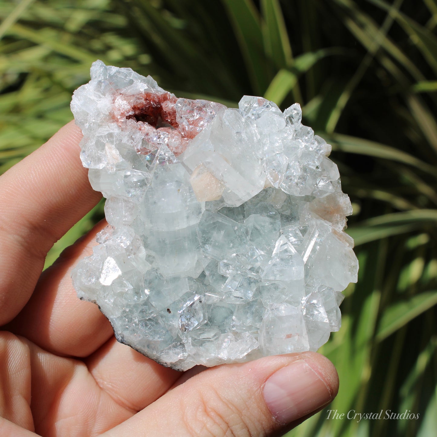 Apophyllite on Blue Chalcedony Natural Crystal Cluster