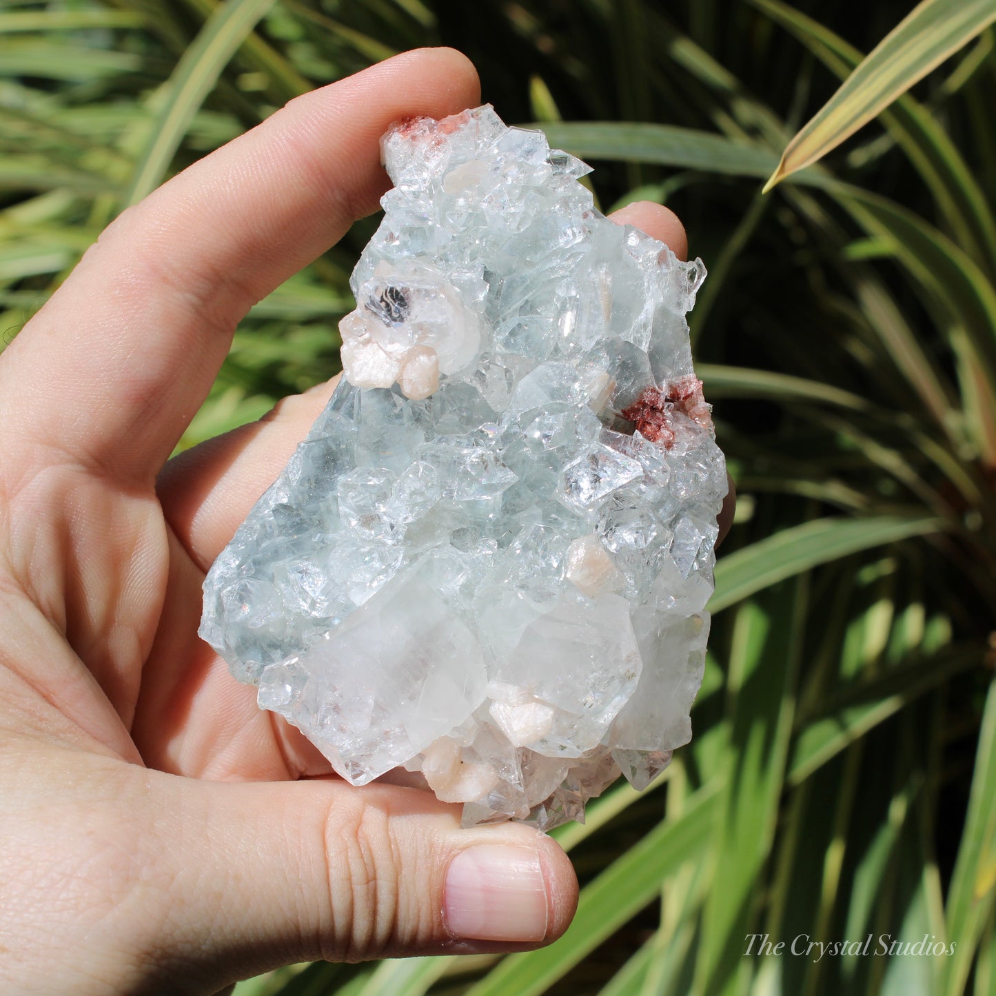 Apophyllite on Blue Chalcedony Natural Crystal Cluster