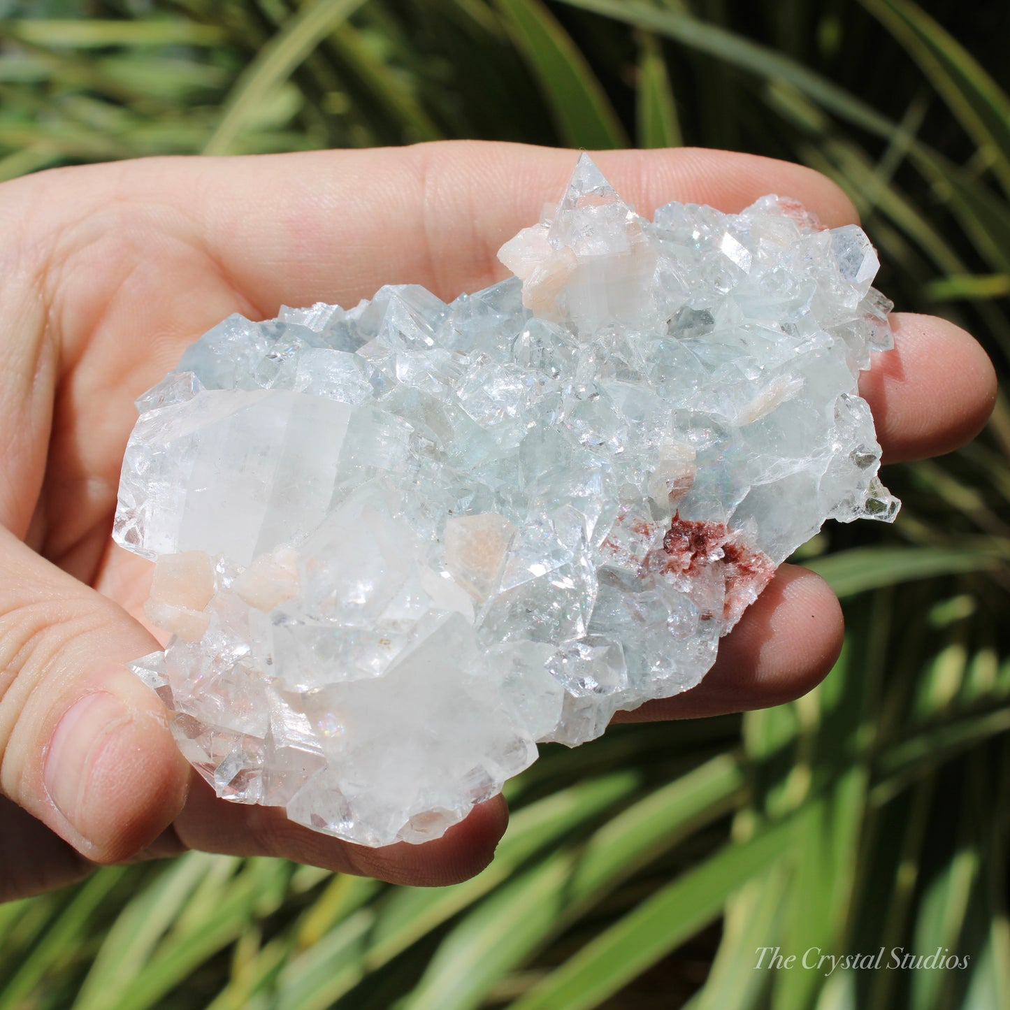 Apophyllite on Blue Chalcedony Natural Crystal Cluster