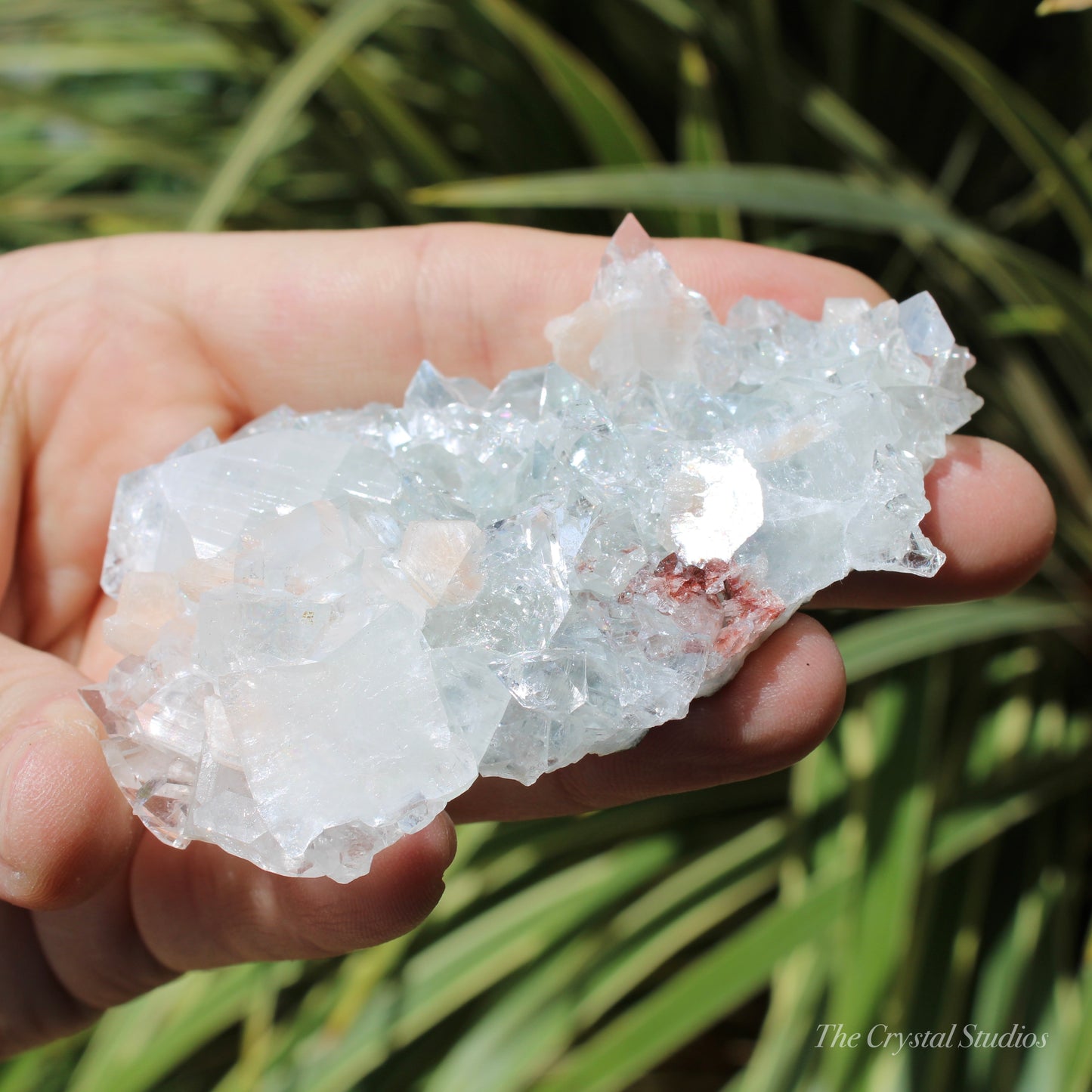 Apophyllite on Blue Chalcedony Natural Crystal Cluster