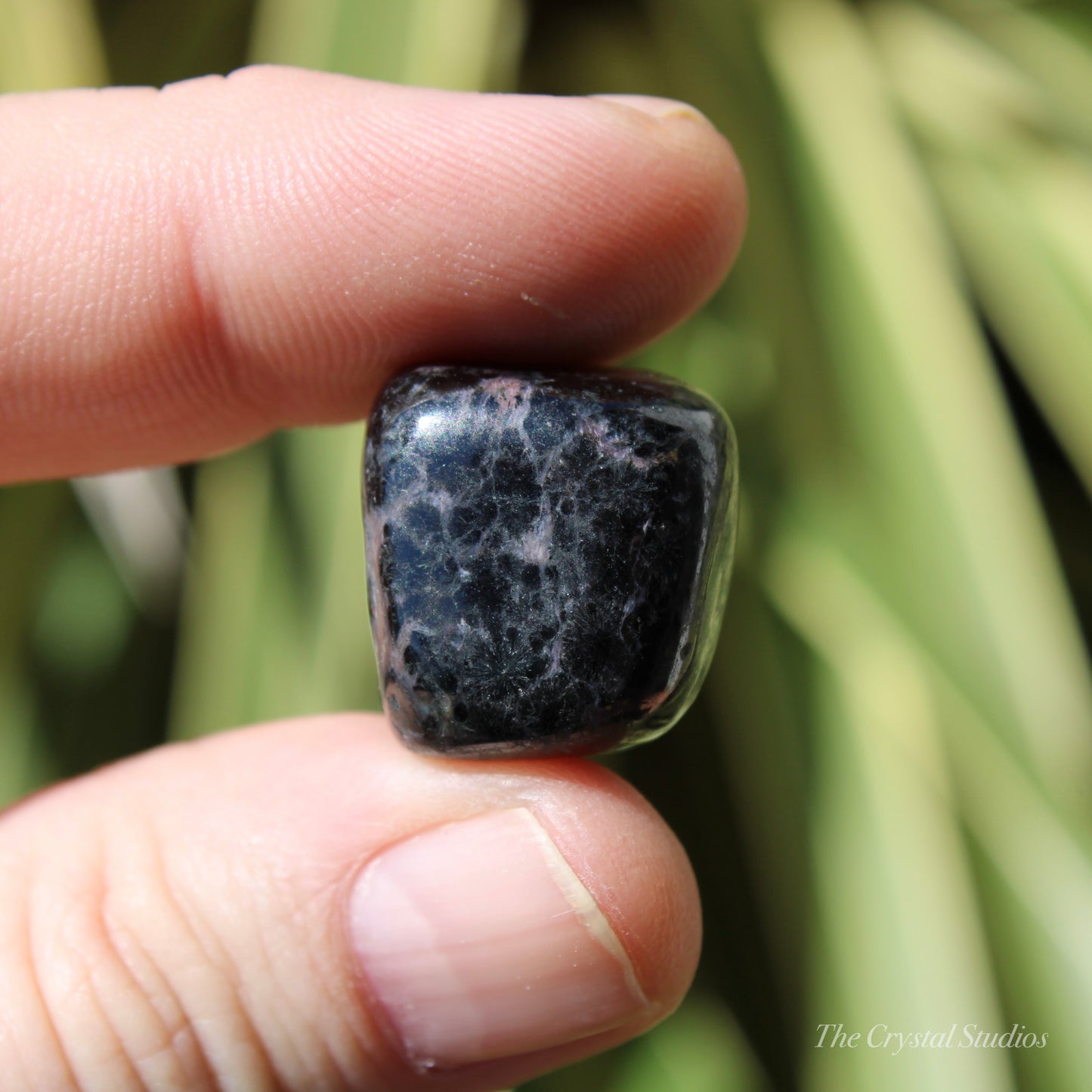 Charoite Polished Crystal Tumblestone