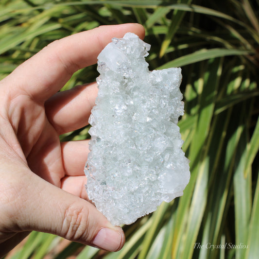 Apophyllite on Blue Chalcedony Natural Crystal Cluster