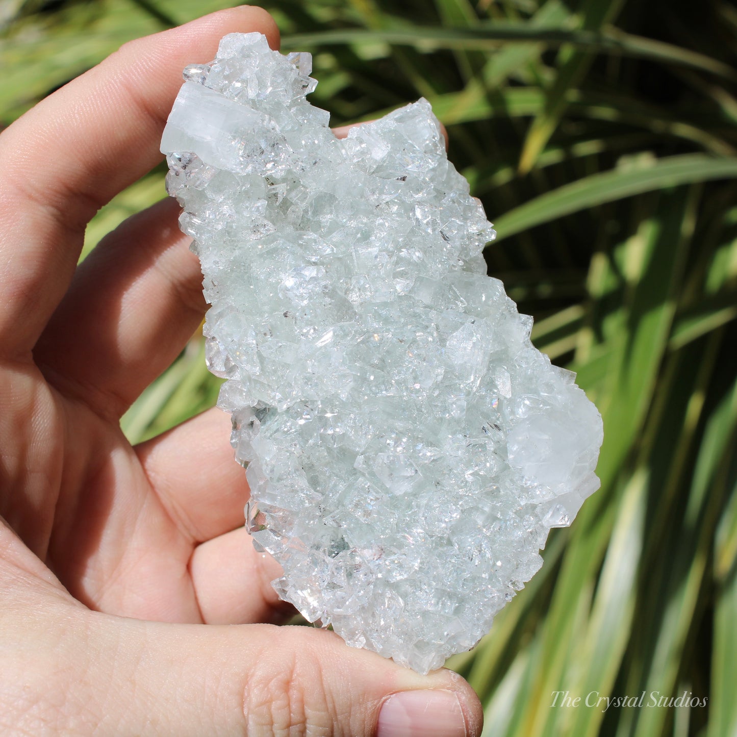 Apophyllite on Blue Chalcedony Natural Crystal Cluster