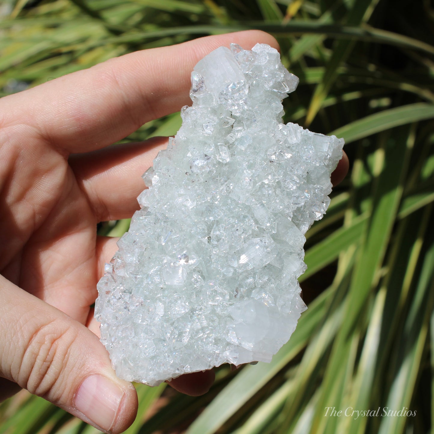 Apophyllite on Blue Chalcedony Natural Crystal Cluster