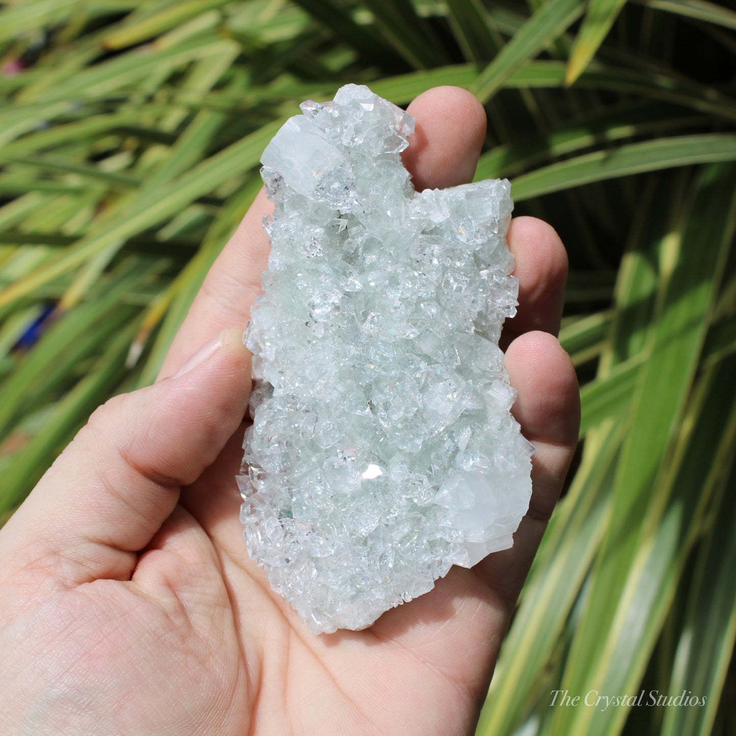 Apophyllite on Blue Chalcedony Natural Crystal Cluster